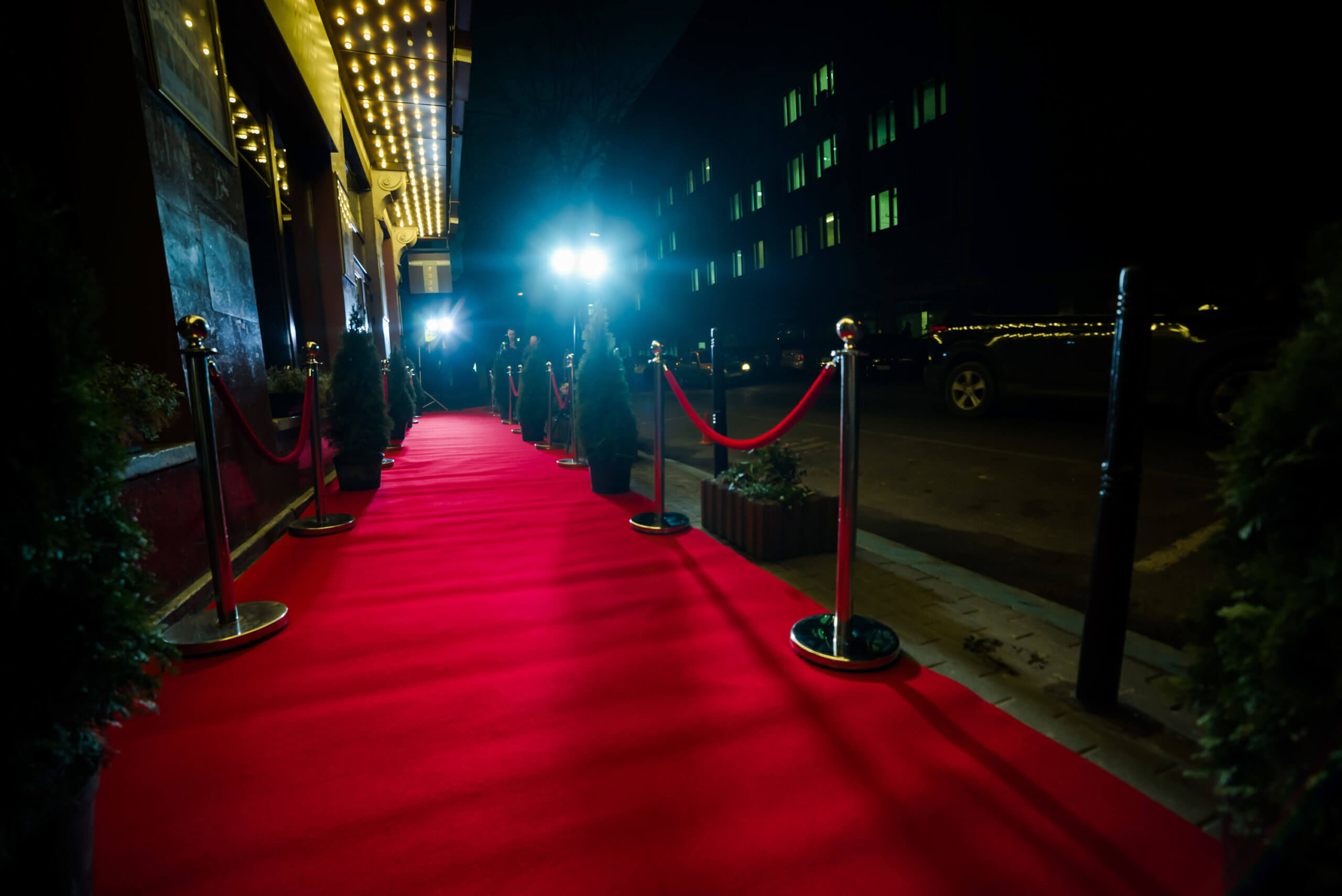 Red carpet surrounded by plants, cordage and lighting